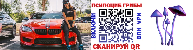 наркошоп  Дербент  Псилоцибиновые грибы Psilocybine cubensis 